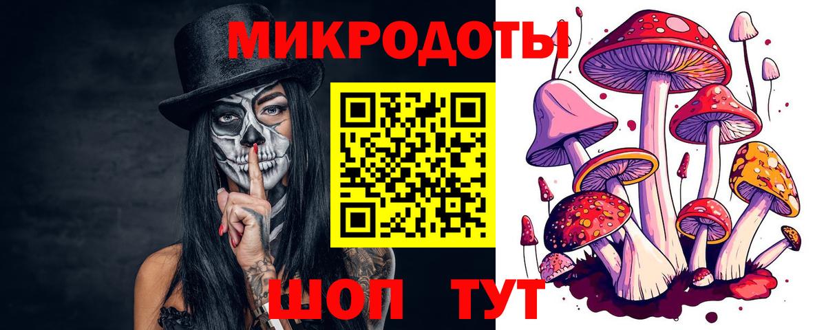 Псилоцибиновые грибы мицелий Лысьва